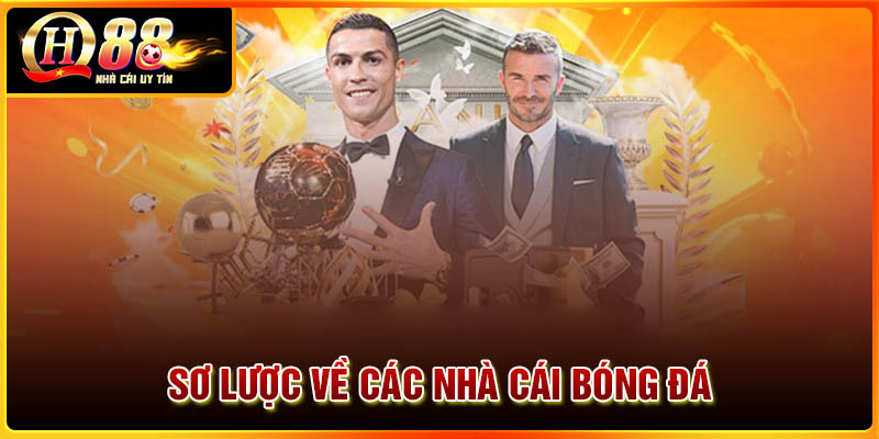 Sơ lược về các nhà cái bóng đá
